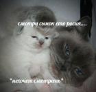 Прикрепленное изображение: Смотри сынок, это Россия (не хочет смотреть).jpg