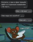 Прикрепленное изображение: IQ тест.jpg