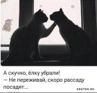 Прикрепленное изображение: 1705394501.jpg