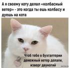 Прикрепленное изображение: 1704183970.jpg