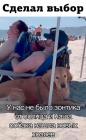 Прикрепленное изображение: Сделал выбор.jpg