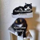 Прикрепленное изображение: Квантовая физика.jpg