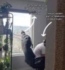 Прикрепленное изображение: Котик интеллектуал.jpg