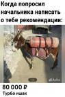 Прикрепленное изображение: Турбо ишак.jpg