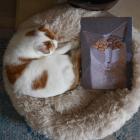 Прикрепленное изображение: IMG_20250128_224937.jpg