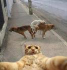 Прикрепленное изображение: IMG-20250121-WA0013.jpg