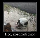 Прикрепленное изображение: 4кенг.jpg