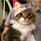 Прикрепленное изображение: 1453704848130425301.jpg