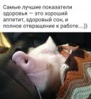 Прикрепленное изображение: image.jpeg