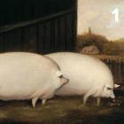 Прикрепленное изображение: diletant_media_273507160_335237778495904_745699373570140346_n.jpg