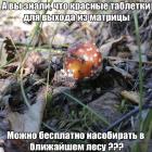 Прикрепленное изображение: Красные таблетки.jpg