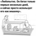 Прикрепленное изображение: Использует как вешалку.jpg