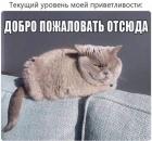 Прикрепленное изображение: Уровень приветливости.jpg