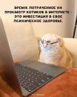 Прикрепленное изображение: Время на котиков.jpg