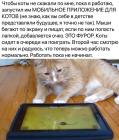 Прикрепленное изображение: Мобильное приложение для котов.jpg