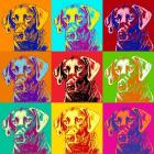 Прикрепленное изображение: pop-art-andy-warhol-hund-style-ralph-hatzold-009.jpg