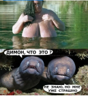 Прикрепленное изображение: Screenshot_20240821-140026~2.png