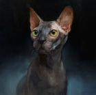 Прикрепленное изображение: IMG_3003.jpg