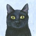 Прикрепленное изображение: Toopie+-+seul-1920w.jpg