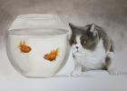 Прикрепленное изображение: Cat-Goldfish.jpg