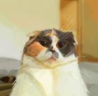 Прикрепленное изображение: tumblr_bf76ff9abdf7fb79d98ddf484078744c_5d4b66ea_1280.jpg