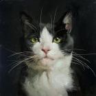 Прикрепленное изображение: IMG_0762.jpg