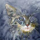 Прикрепленное изображение: 2rVJue6priE.jpg