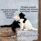 Прикрепленное изображение: потерпи завтра пятница.jpg