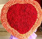 Прикрепленное изображение: image.jpg