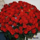 Прикрепленное изображение: image.jpg