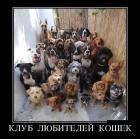 Прикрепленное изображение: 1клв.jpg