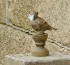 Прикрепленное изображение: jmTP8UQtYjU.jpg