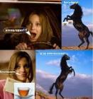 Прикрепленное изображение: Без названия (1).jpg