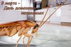 Прикрепленное изображение: 9 марта - день домашних насекомых.jpg