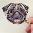 Прикрепленное изображение: scale_1200.jpg