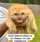 Прикрепленное изображение: tXEvhtzj7hABy-tue20wzkHaEfg1hBc0Y_GjurXyGYH5vmsb-NsrVR1y1wQFpivc_rwUSImN1WJnTTvBlS8Lcfz1.jpg