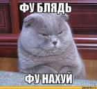 Прикрепленное изображение: 14125740099073.jpeg