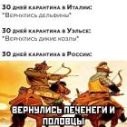 Прикрепленное изображение: Коронавирус - 30 дней карантина (вернулись печенеги и половцы).jpg