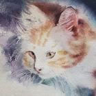 Прикрепленное изображение: de7Pf2RxXDw.jpg