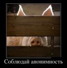 Прикрепленное изображение: 1713125407.jpg