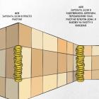 Прикрепленное изображение: Моя зарплата.jpg