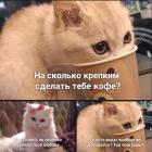 Прикрепленное изображение: Крепость кофе.jpg