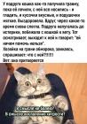 Прикрепленное изображение: Кошка притворяется.jpg