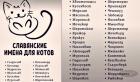 Прикрепленное изображение: Славянские имена для котов.jpg