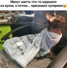 Прикрепленное изображение: Супермен прискакал.jpg