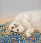 Прикрепленное изображение: kTweM_lLkdk.jpg