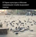 Прикрепленное изображение: 1744005602.jpg