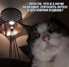 Прикрепленное изображение: В догонялки.jpg