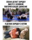 Прикрепленное изображение: Зарядка с собакой и котом.jpg