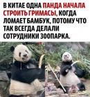 Прикрепленное изображение: 1715587356.jpg